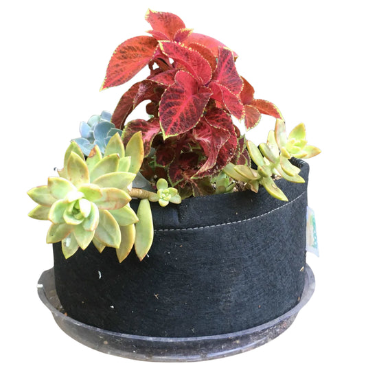 Geopot Black Round Bottom SquatPot cloning