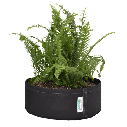 Geopot Black Round Bottom SquatPot  propagation