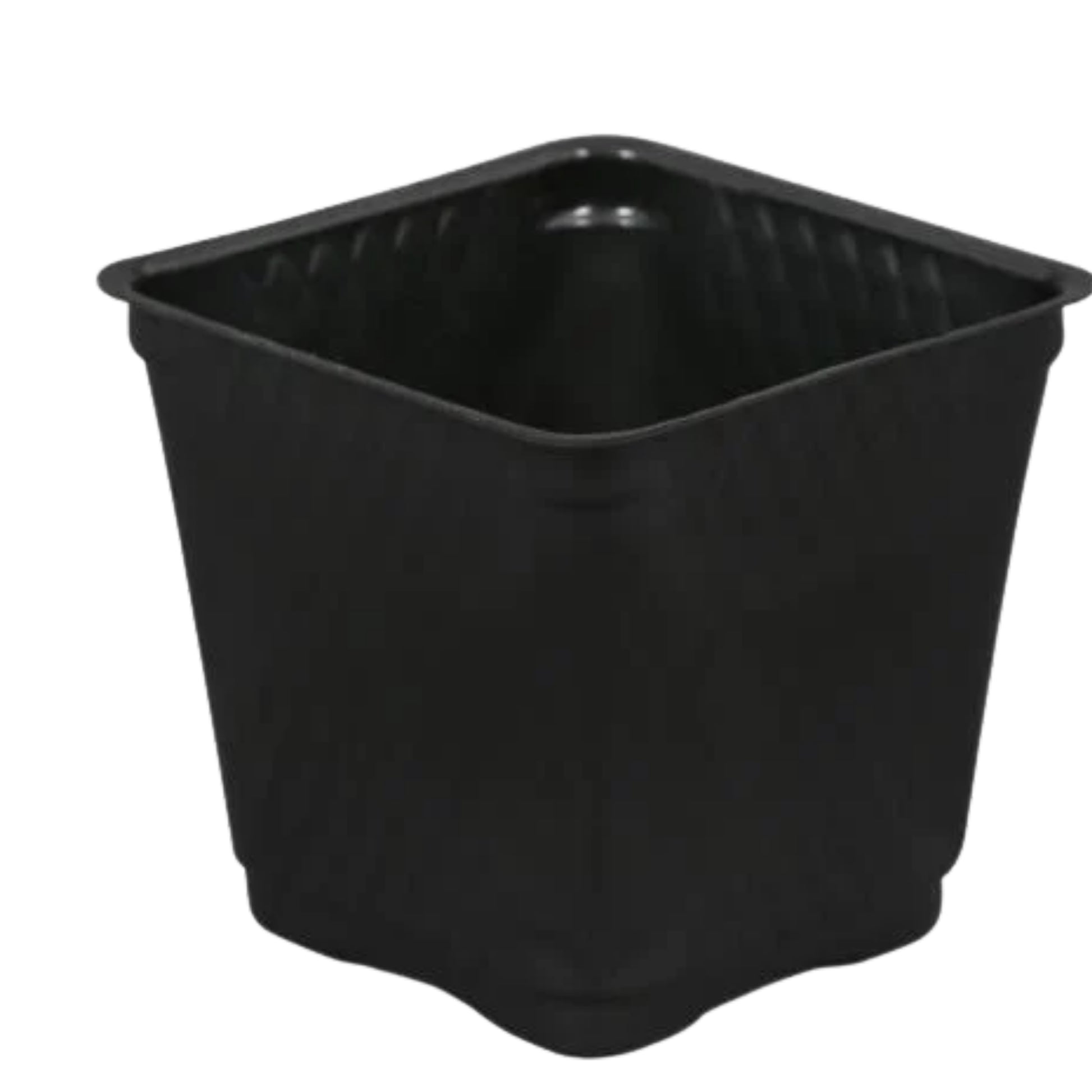 Gro Pro Black Plastic Square Pot 3.5 x 3.5 x 3 in