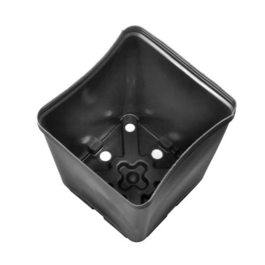 Gro Pro Square Plastic Pots 5.5 x 5.5 x 6 main image