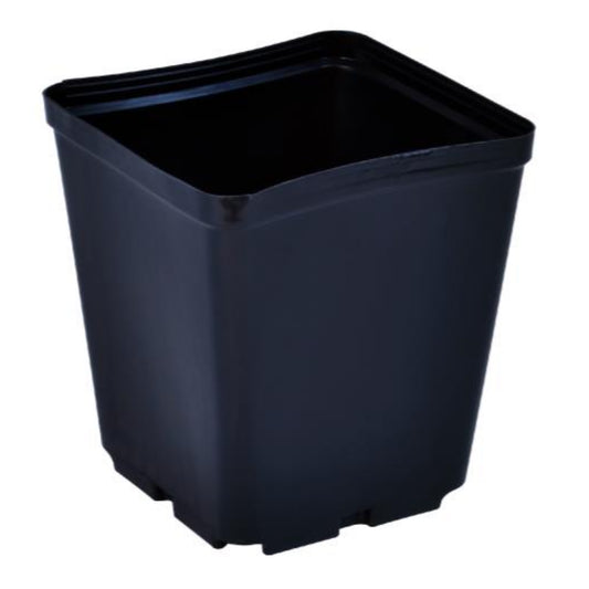 Gro Pro Square Plastic Pots 5.5 x 5.5 x 6 side view