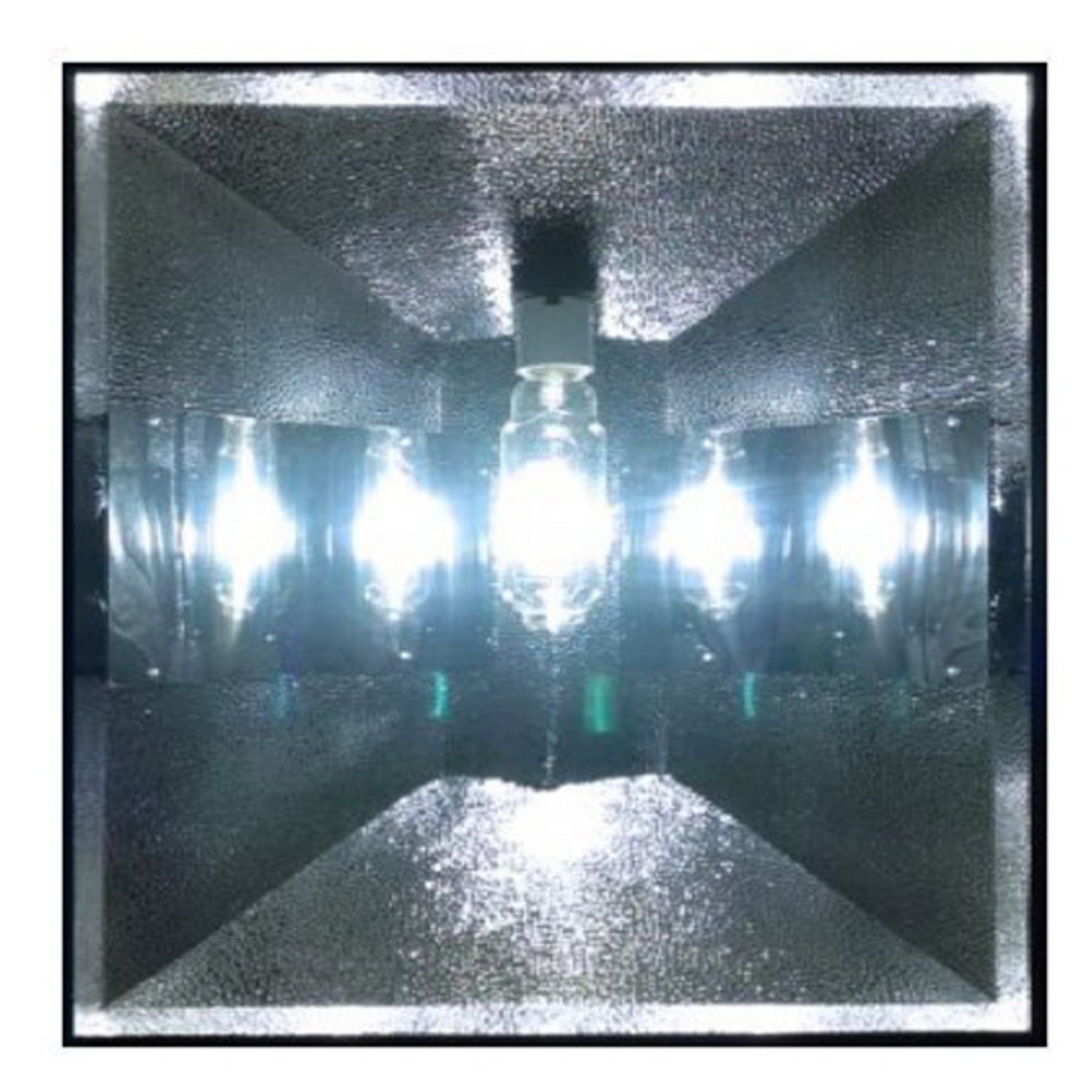 GrowLite Karma 8 reflector lights