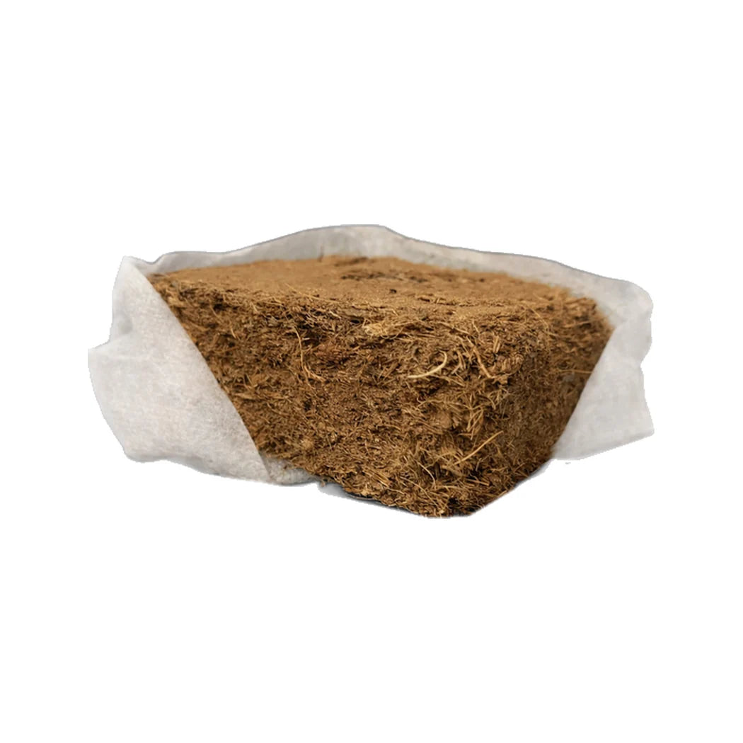 Grow Junky compressed coco coir block in its open top grow bag