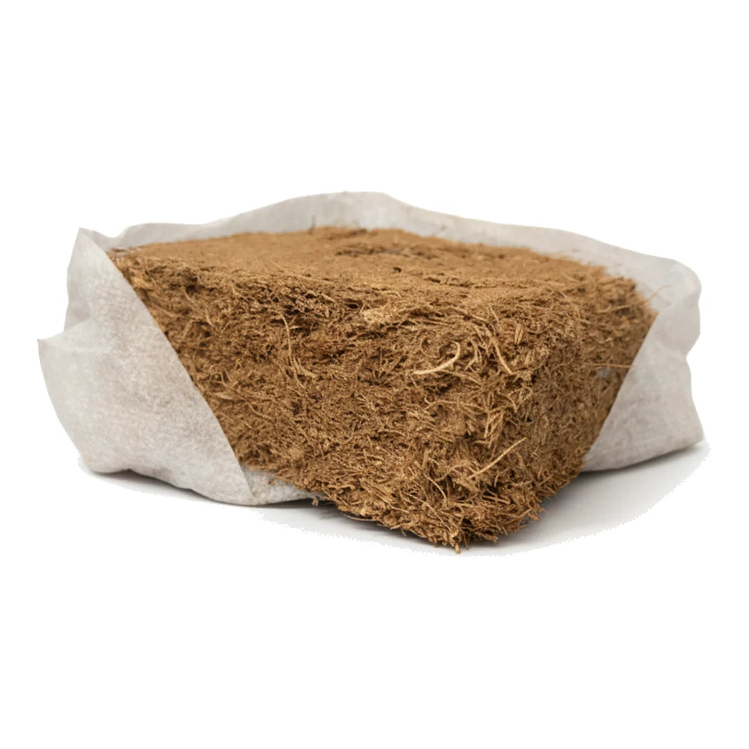 Grow Junky compressed coco coir block in its open top grow bag