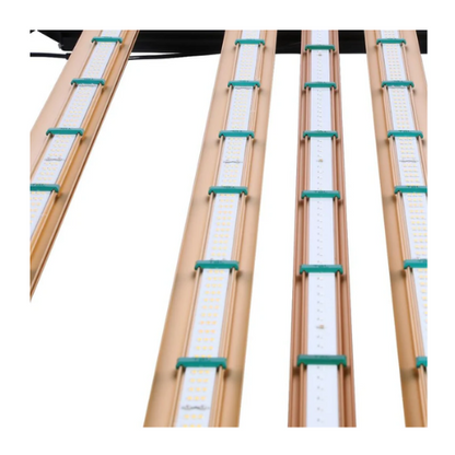 Grower's Choice Bloom Boost UV-R Bar arrange