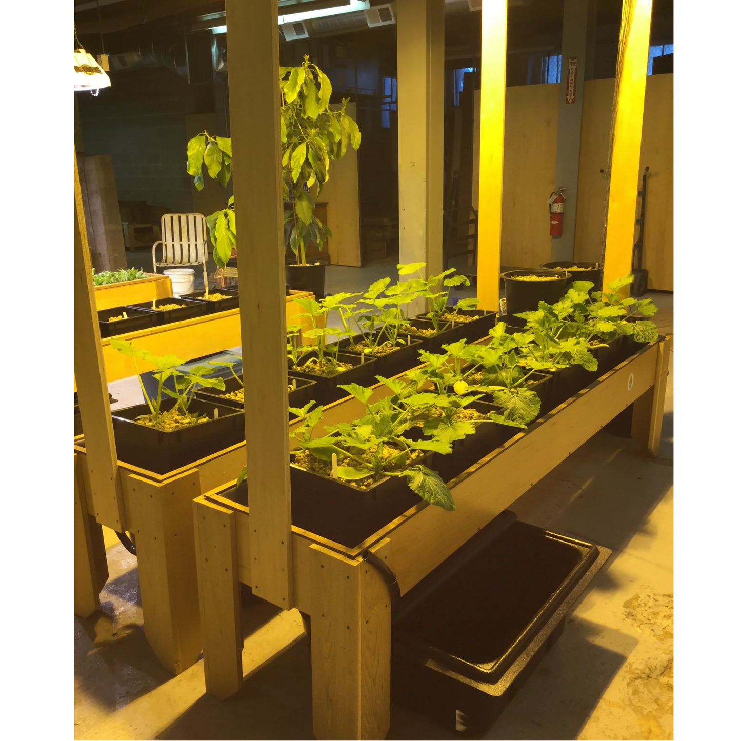 Growpito Sim Mix 1.5 cu ft squash tables