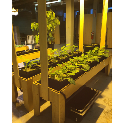 Growpito Sim Mix 1.5 cu ft squash tables