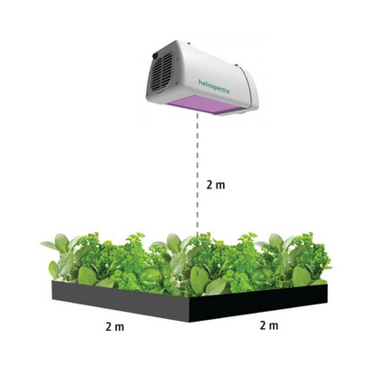 HHeliospectra LX602 distance from hydroponics