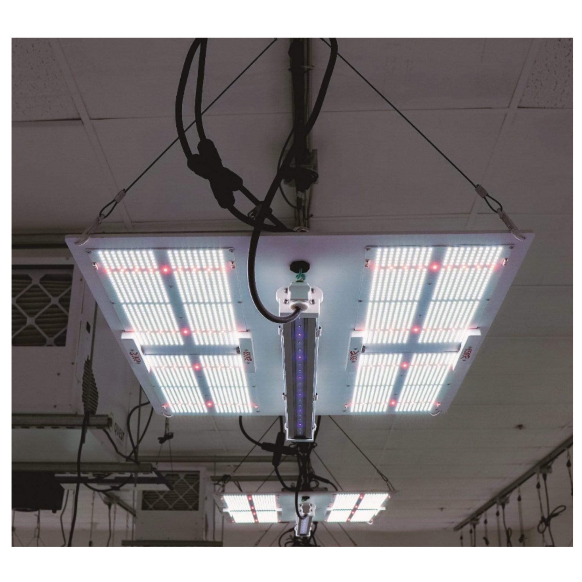 HLG 30W UVA Supplement LED how to mount