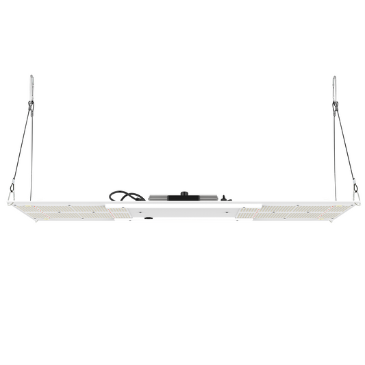 HLG 350 R-Spec 350W LED hang position