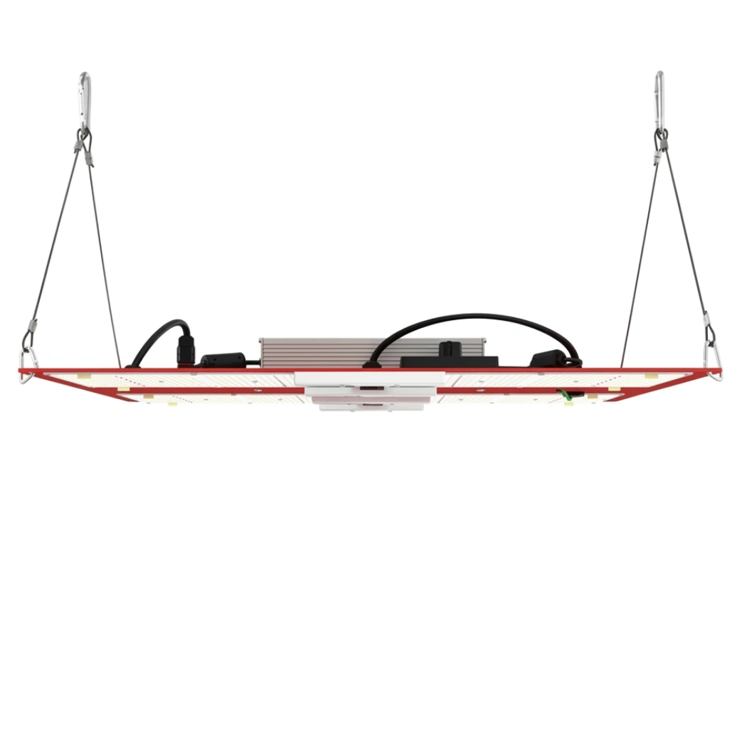 HLG 600 R-Spec hang position