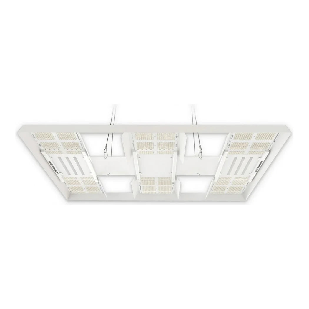 HLG Scorpion Diablo 650W LED grow light, six-board fixture, 5x5 ft