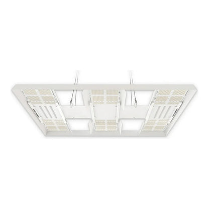 HLG Scorpion Diablo 650W LED grow light, six-board fixture, 5x5 ft