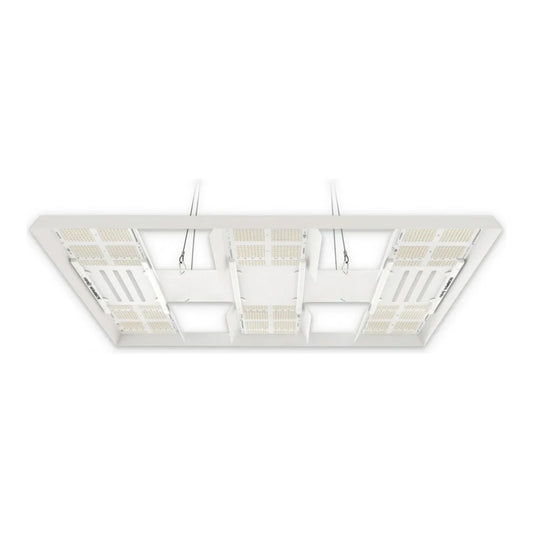 HLG Scorpion Diablo 650W LED grow light, six-board fixture, 5x5 ft