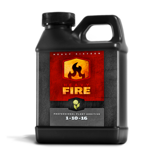 Heavy 16 Fire 500ml