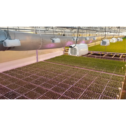 Heliospectra LX601C LEDS arrange