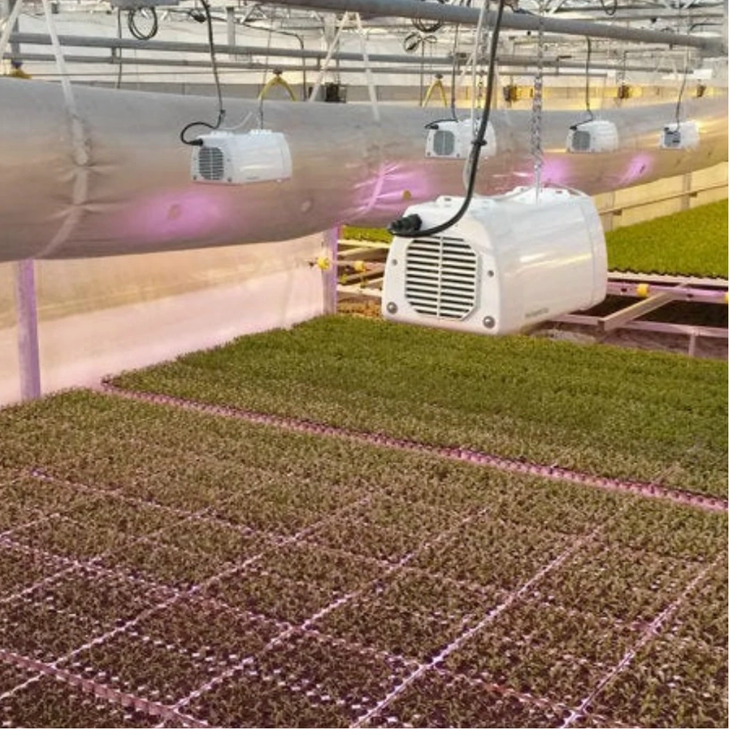 Heliospectra LX601C LEDS arrange
