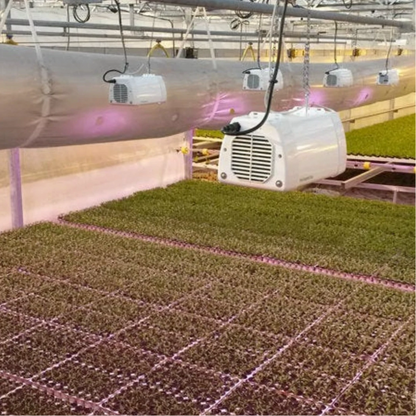 Heliospectra LX601C LEDS arrange
