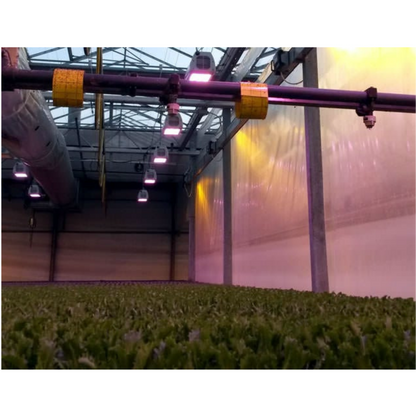 Heliospectra LX601C LEDS in action