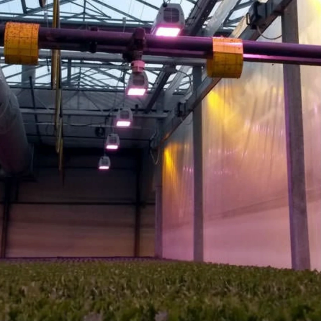Heliospectra LX601C LEDS in action