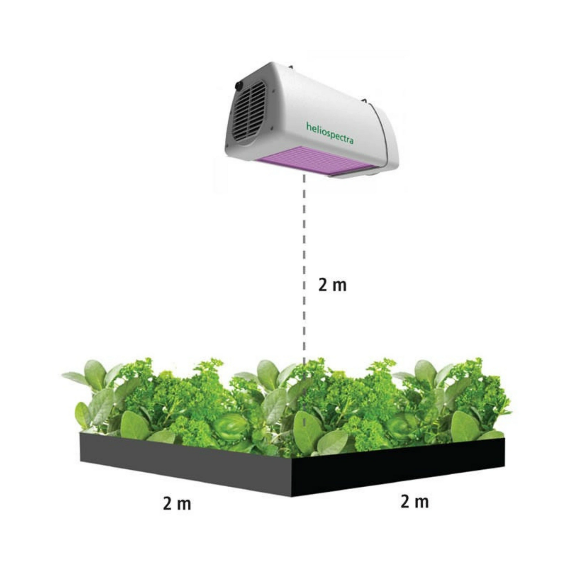 Heliospectra LX602C distance from hydroponics