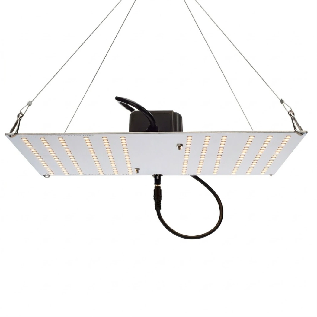 Horticulture Lighting Group HLG 100 V2 100W main image 1050x1050