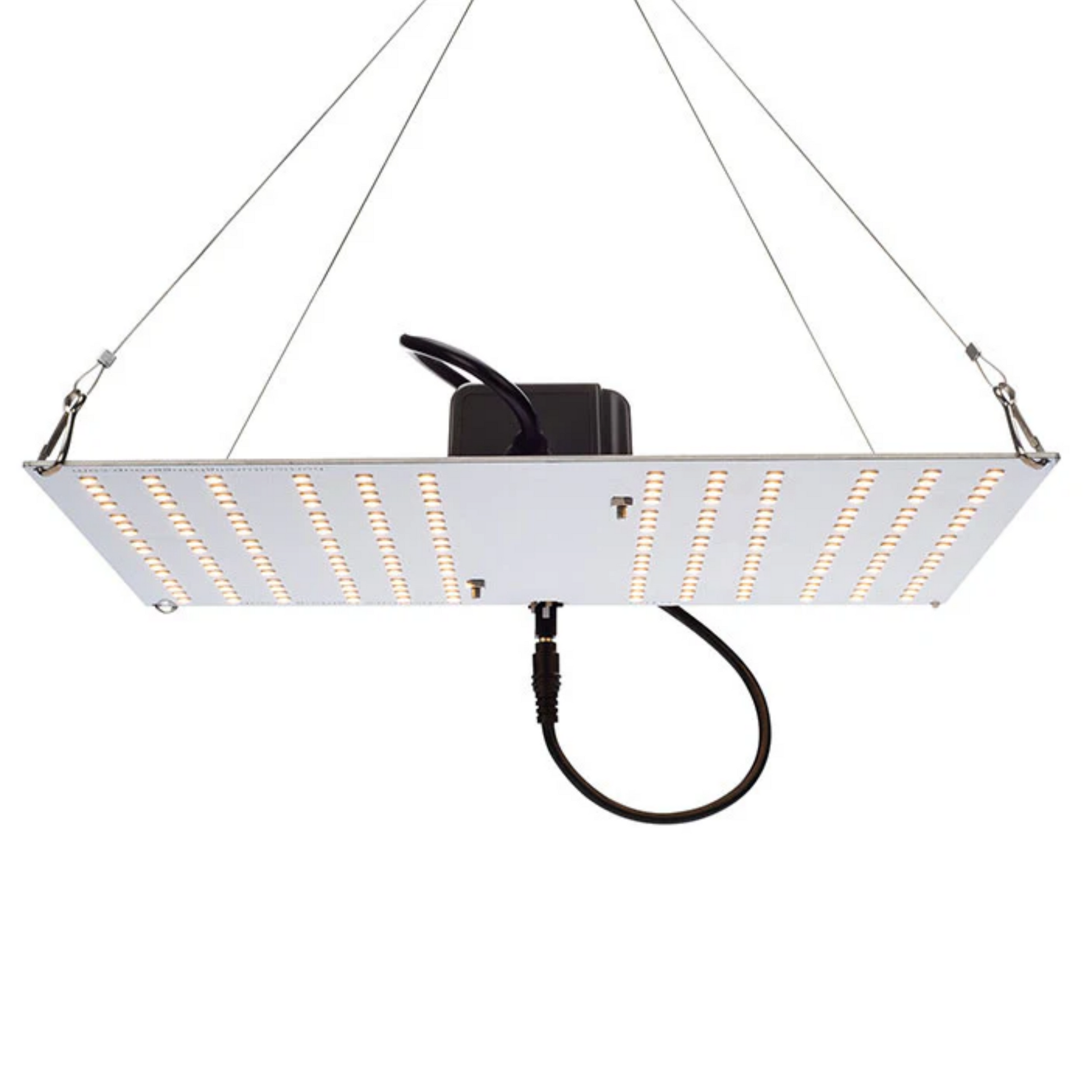 Horticulture Lighting Group HLG 100 V2 main image