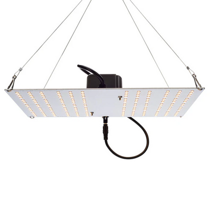Horticulture Lighting Group HLG 100 V2 main image