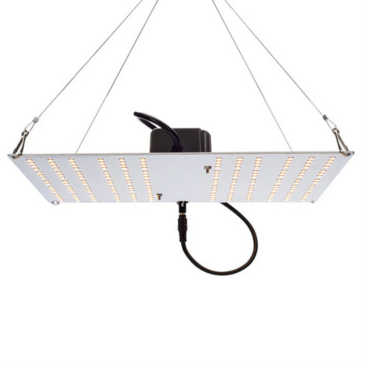 Horticulture Lighting Group HLG 100 V2 main image