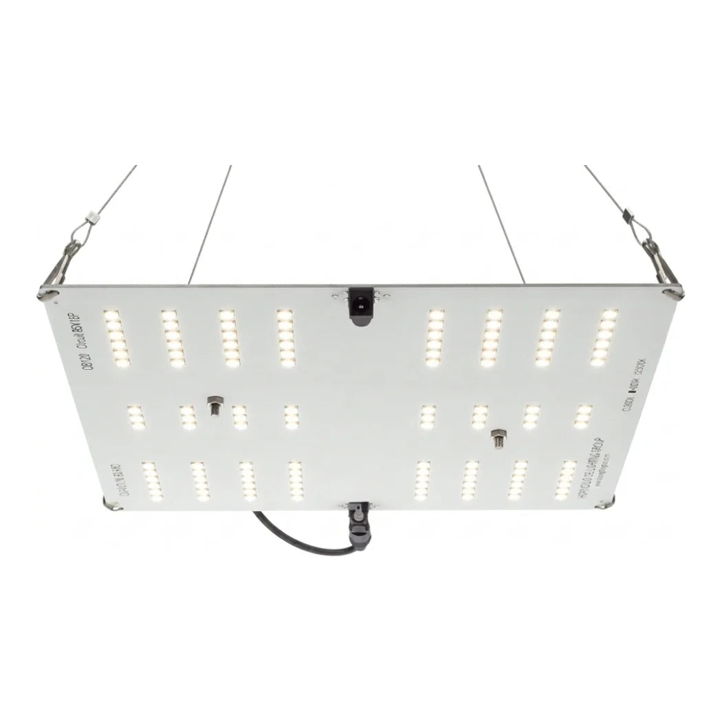 HLG 65 V2 LED grow light, 4000K Samsung LM301B quantum board, 2x2 ft veg