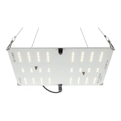 HLG 65 V2 LED grow light, 4000K Samsung LM301B quantum board, 2x2 ft veg