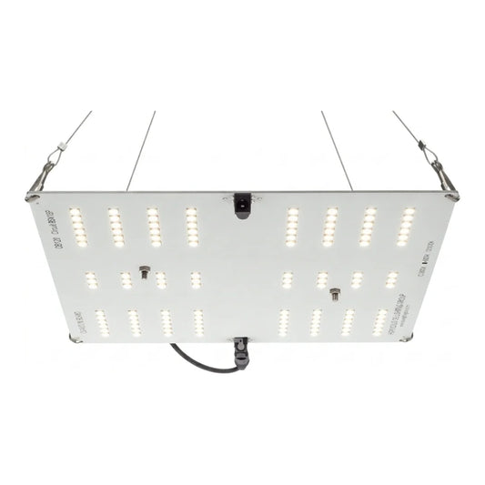 HLG 65 V2 LED grow light, 4000K Samsung LM301B quantum board, 2x2 ft veg