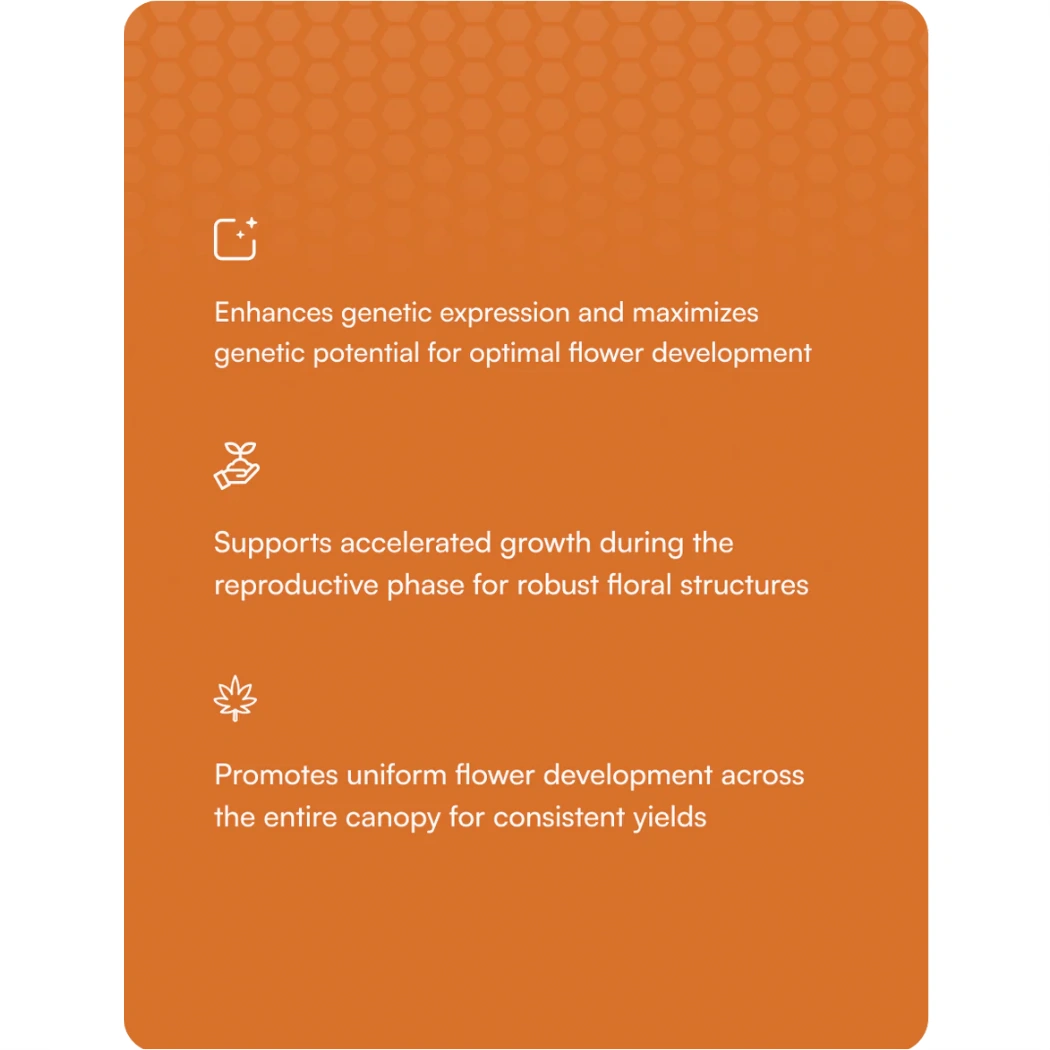 Hydrobuilder HGV Dry Flower characteristics