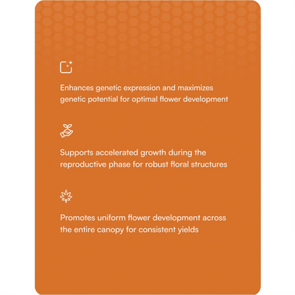 Hydrobuilder HGV Dry Flower characteristics