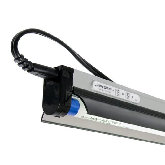 Jump Start T5 Fixture wLamp, Reflector, and Timer, 2 ft connector