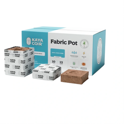 Kaya Coir 10 in fabric pot