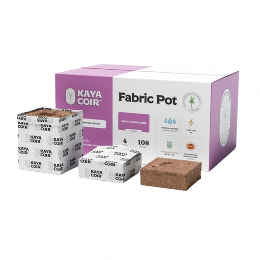 Kaya Coir 4 in main image