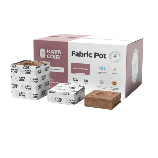 Kaya Coir 5.5 in fabric pot
