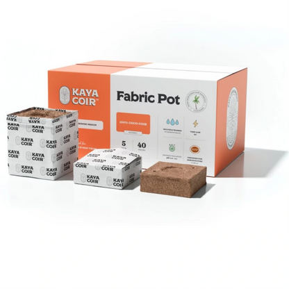 Kaya Coir 5in Fabric Pot