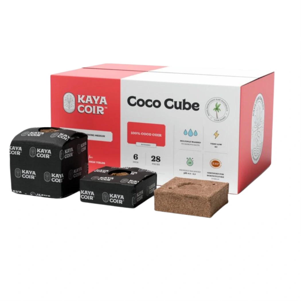 Kaya Coir 6 in Coco Cube main image