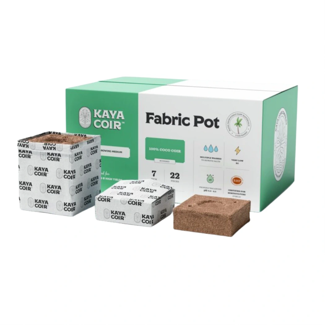 Kaya Coir 7 in fabric pot