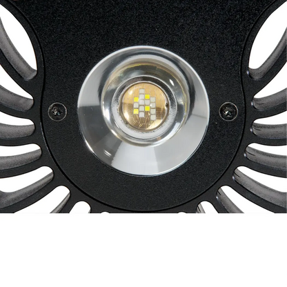 Kessil A80 Tuna Sun Freshwater led