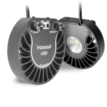 Kessil A80 Tuna Sun Freshwater main image