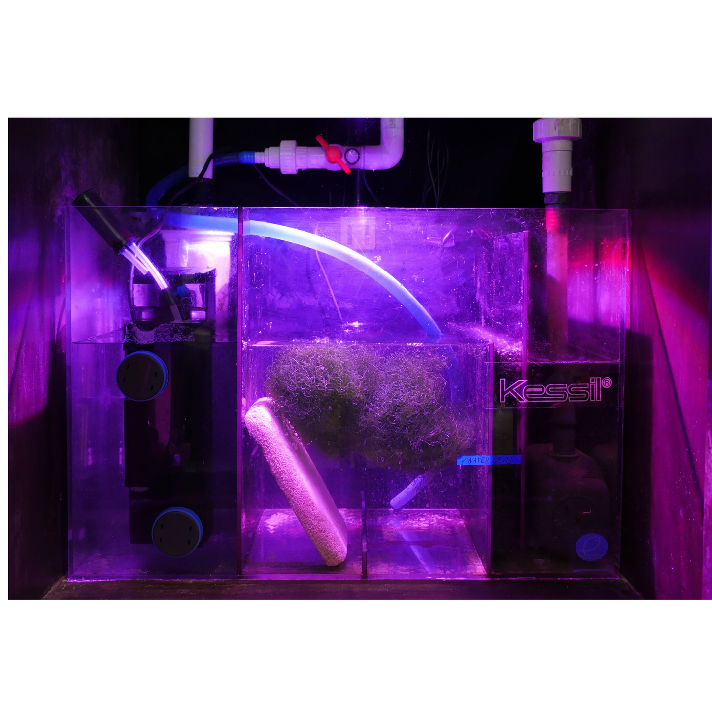 Kessil H160 Tuna grow light