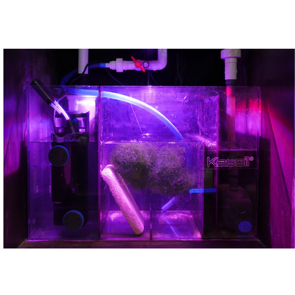 Kessil H160 Tuna grow light