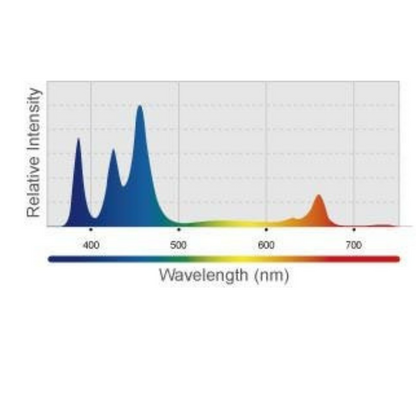 Kessil H80 ful blue spectrum