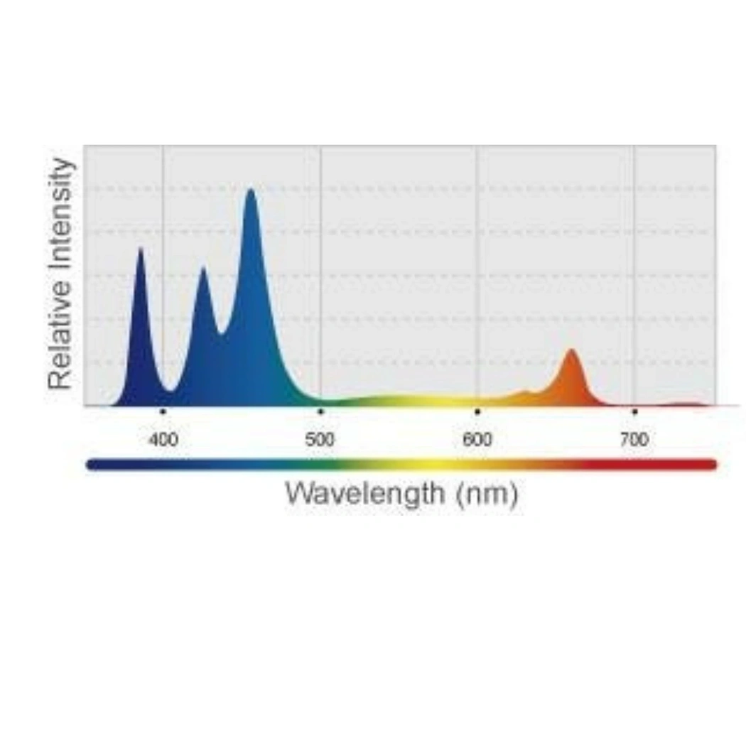 Kessil H80 ful blue spectrum