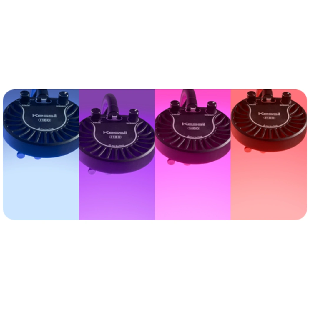 Kessil H80 ful phases of plant cultivation