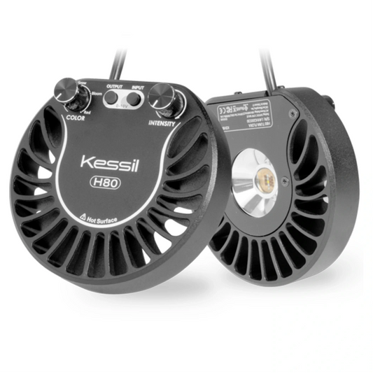 Kessil H80 main image