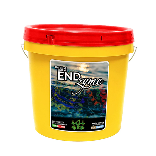 Key To Life - ENDzyme main image